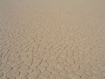 IMG_1765.JPG
