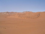 IMG_1778.JPG