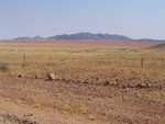 IMG_1802.JPG
