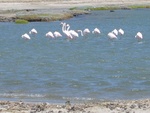 IMG_1819.JPG