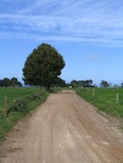 road up to Kenmore farm
