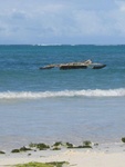 IMG_0225.jpg