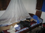 IMG_0231.jpg