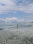 IMG_0243.jpg