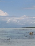IMG_0244.jpg