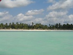 IMG_0255.jpg