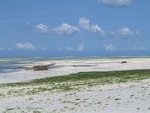 IMG_0257.jpg