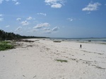 IMG_0263.jpg