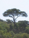 IMG_0312.jpg