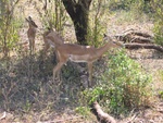IMG_0327.jpg