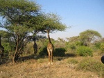 IMG_0359.jpg