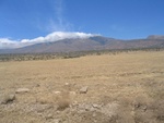 IMG_0404.jpg