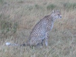 IMG_0416.jpg