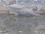 IMG_0494.jpg