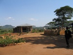 IMG_0525.jpg