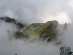IMG_0553.jpg