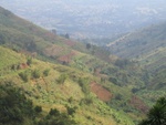 IMG_0561.jpg
