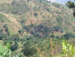 IMG_0565.jpg
