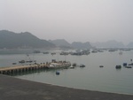 IMG_4549.jpg