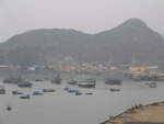 IMG_4550.jpg