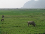 IMG_4590.jpg
