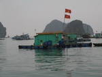 IMG_4632.jpg