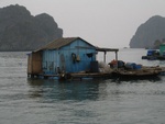 IMG_4635.jpg