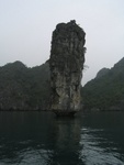 IMG_4661.jpg