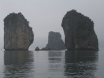 IMG_4663.jpg