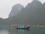IMG_4667.jpg