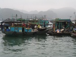 IMG_4686.jpg