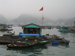 IMG_4687.jpg
