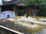 dogs guarding graves