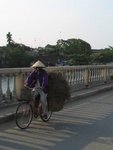 IMG_4755.jpg