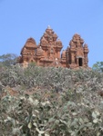 Cham Towers along the way to Saigon