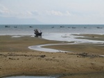 IMG_4925.jpg