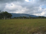 IMG_4926.jpg