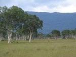 IMG_4927.jpg