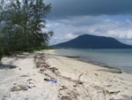 IMG_4932.jpg