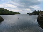IMG_4936.jpg